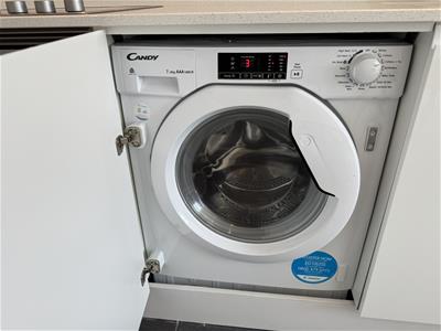 Picture 5